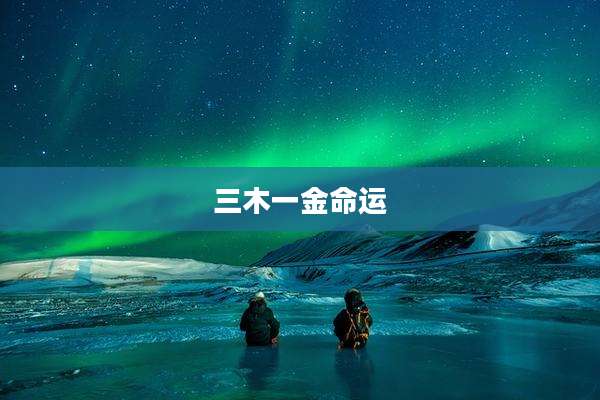 三木一金命运