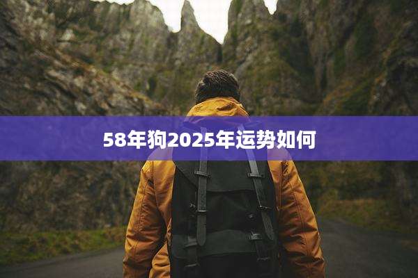 58年狗2025年运势如何