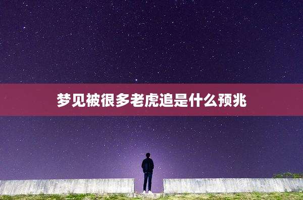 梦见被很多老虎追是什么预兆