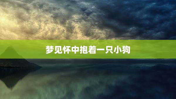 梦见怀中抱着一只小狗