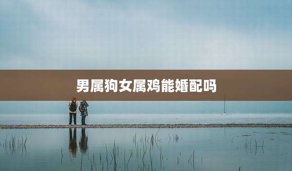 男属狗女属鸡能婚配吗
