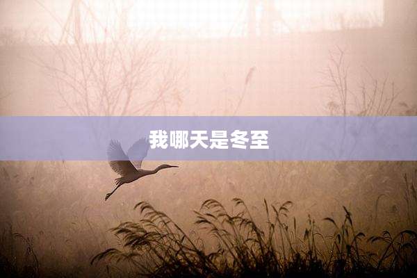 我哪天是冬至