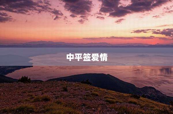 中平签爱情