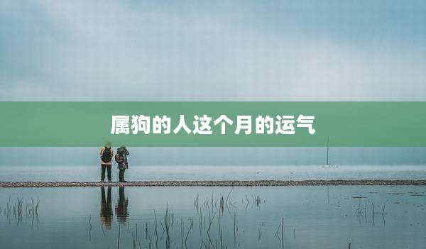 属狗的人这个月的运气