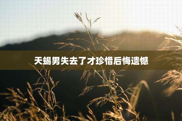 天蝎男失去了才珍惜后悔遗憾