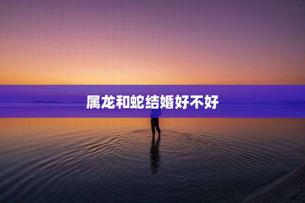 属龙和蛇结婚好不好