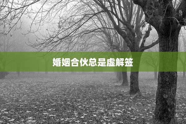 婚姻合伙总是虚解签