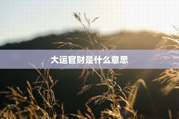 大运官财是什么意思