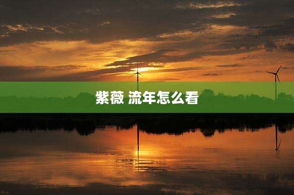 紫薇 流年怎么看