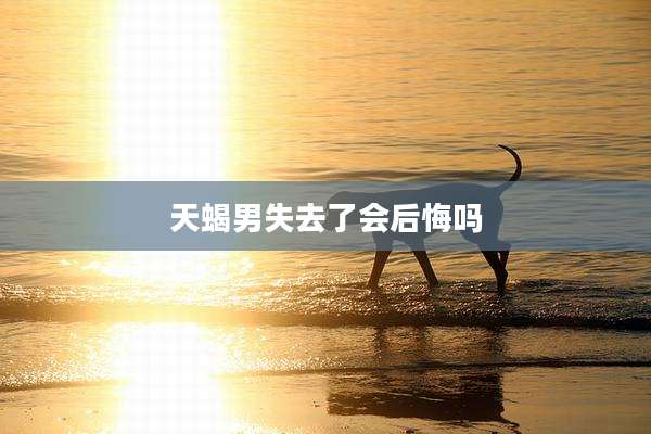 天蝎男失去了会后悔吗