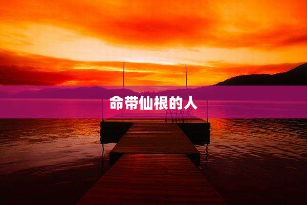 命带仙根的人