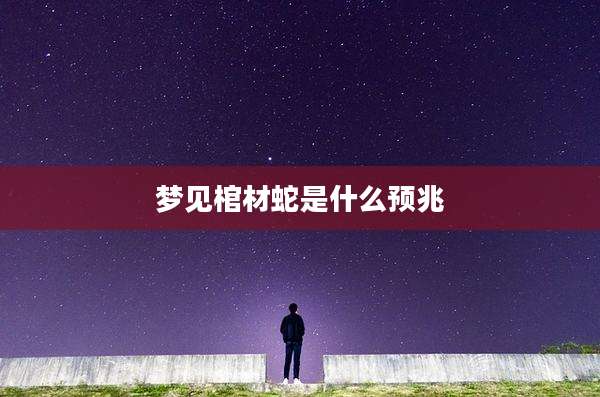 梦见棺材蛇是什么预兆