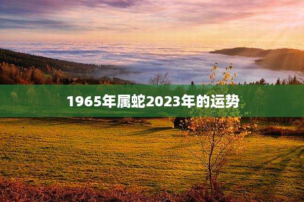 1965年属蛇2023年的运势