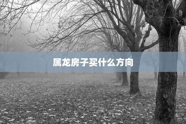 属龙房子买什么方向