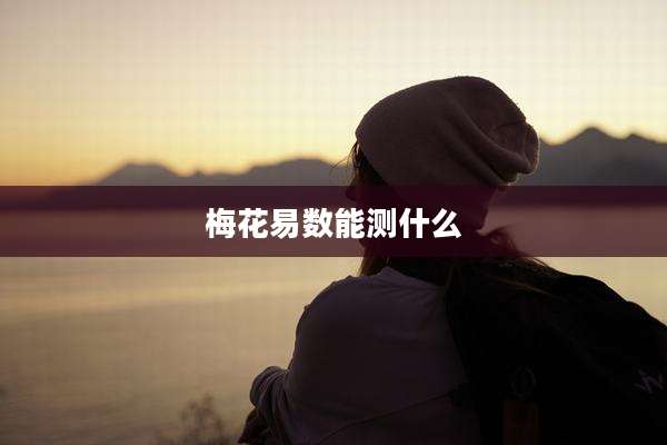 梅花易数能测什么