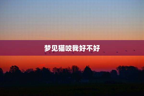 梦见猫咬我好不好