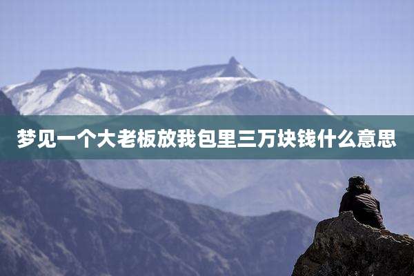 梦见一个大老板放我包里三万块钱什么意思
