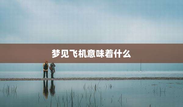 梦见飞机意味着什么