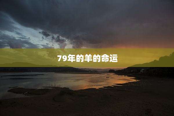 79年的羊的命运