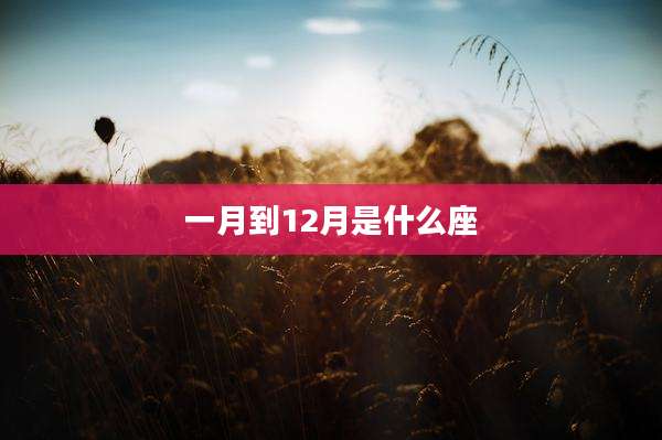 一月到12月是什么座