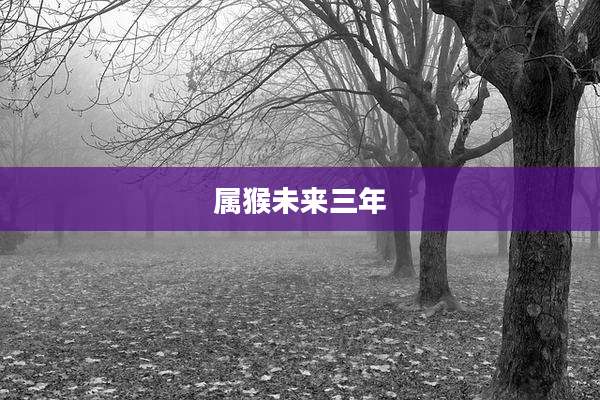 属猴未来三年