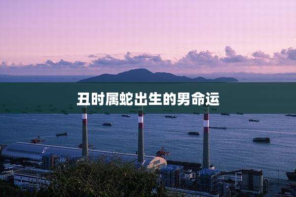 丑时属蛇出生的男命运
