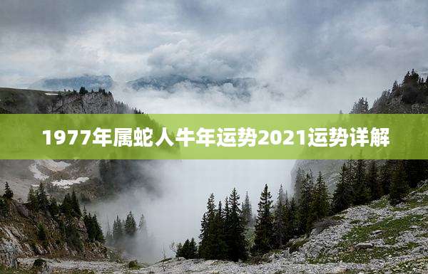 1977年属蛇人牛年运势2021运势详解