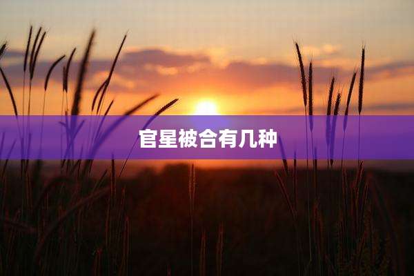 官星被合有几种