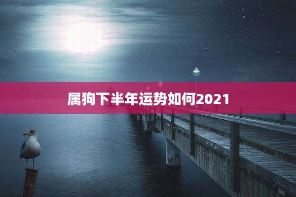 属狗下半年运势如何2021