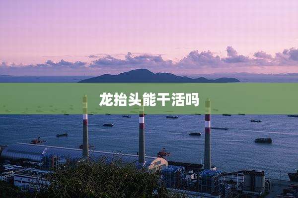 龙抬头能干活吗
