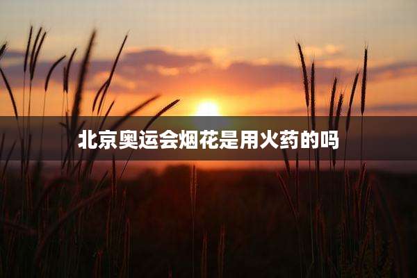 北京奥运会烟花是用火药的吗
