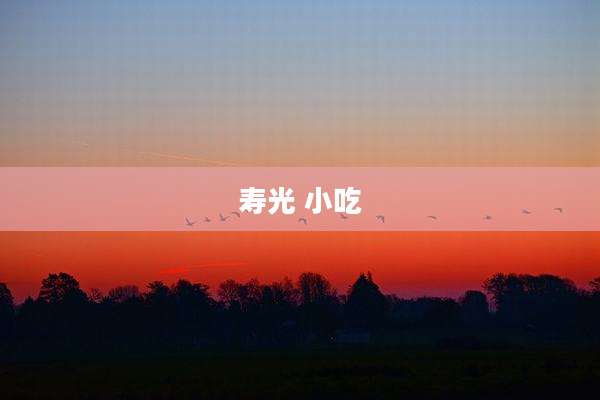寿光 小吃