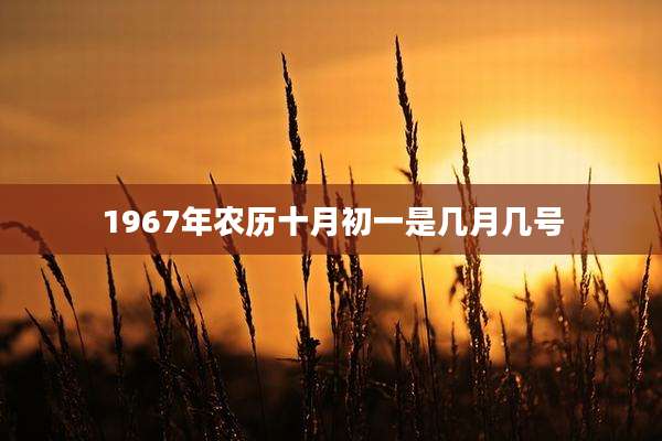 1967年农历十月初一是几月几号