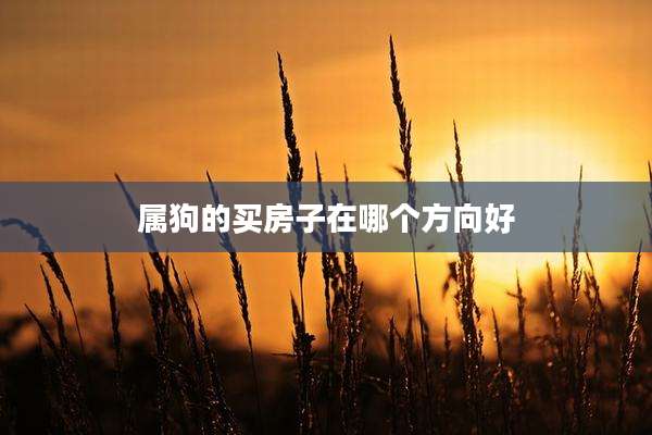 属狗的买房子在哪个方向好