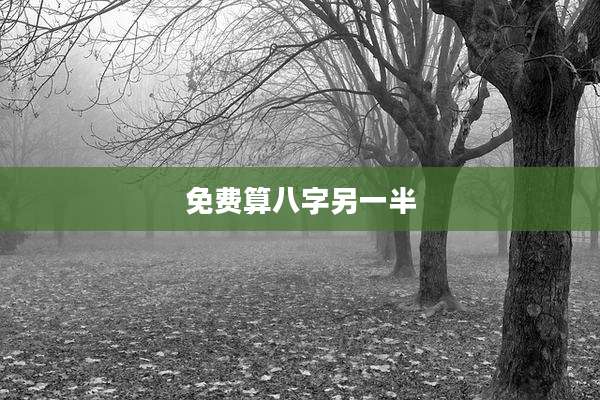 免费算八字另一半