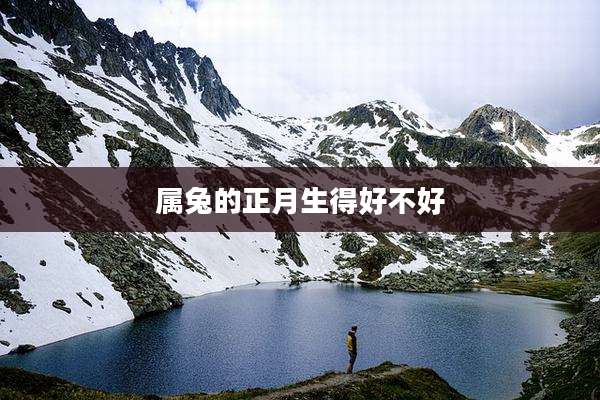 属兔的正月生得好不好