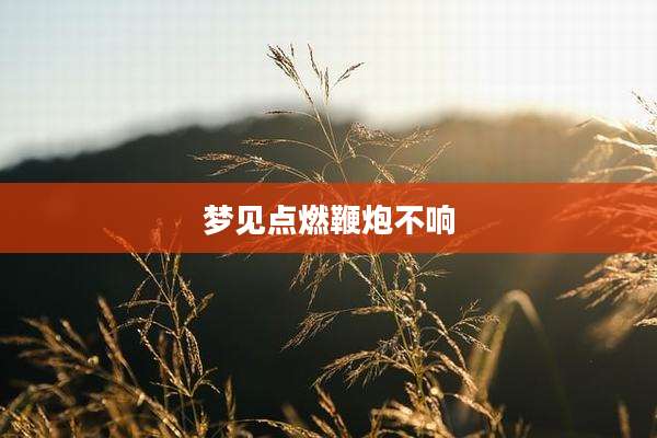 梦见点燃鞭炮不响