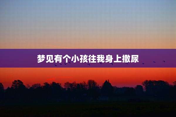 梦见有个小孩往我身上撒尿