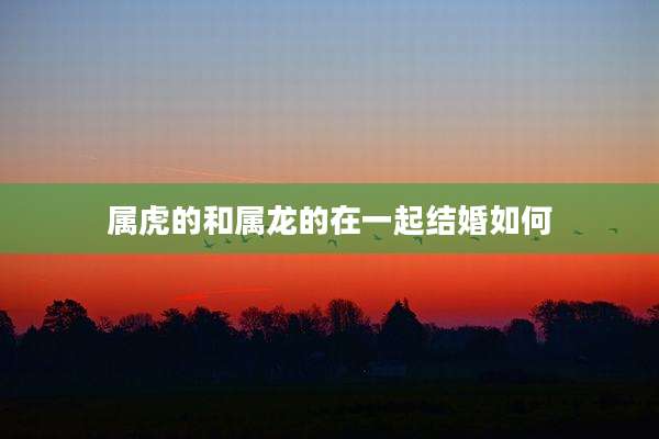 属虎的和属龙的在一起结婚如何