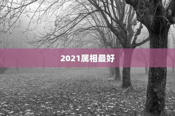 2021属相最好