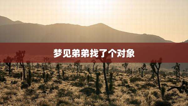 梦见弟弟找了个对象