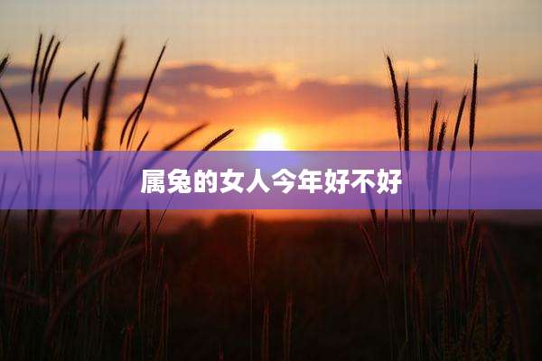 属兔的女人今年好不好
