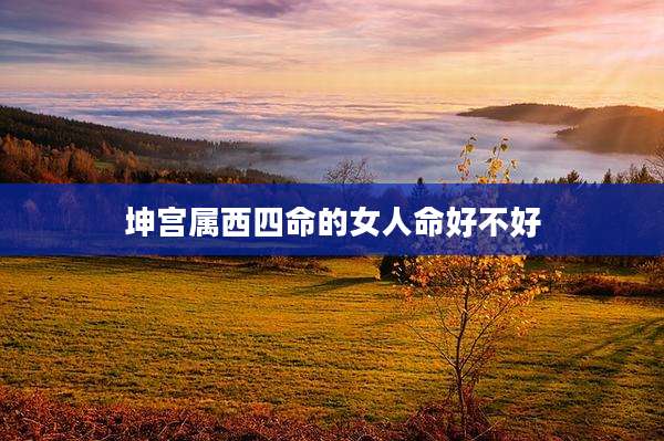 坤宫属西四命的女人命好不好