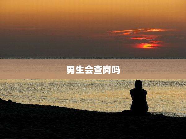 男生会查岗吗
