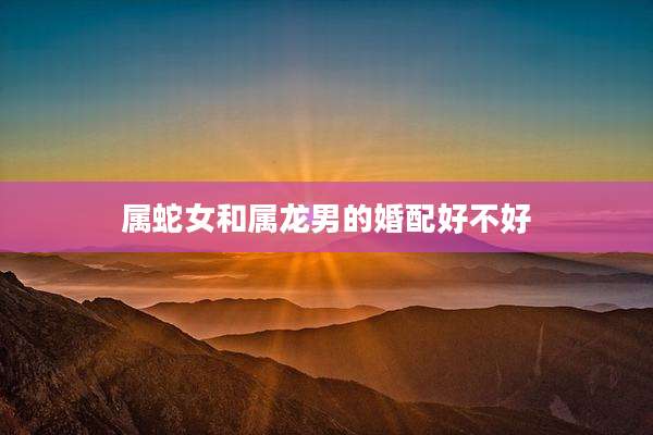 属蛇女和属龙男的婚配好不好