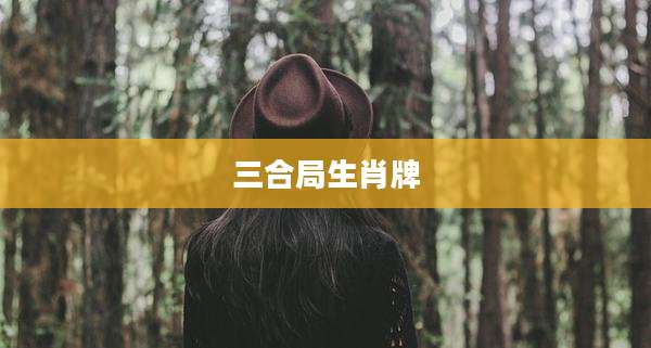 三合局生肖牌