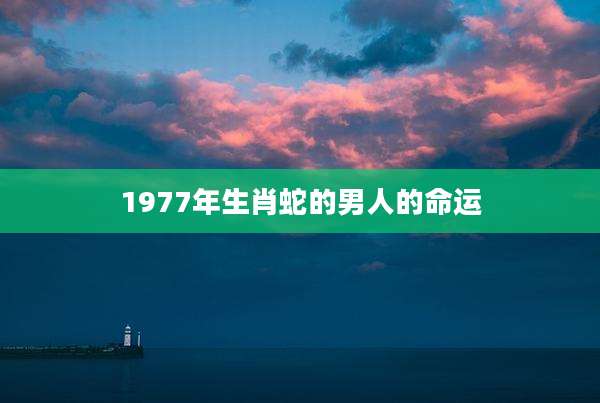1977年生肖蛇的男人的命运