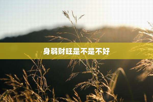 身弱财旺是不是不好