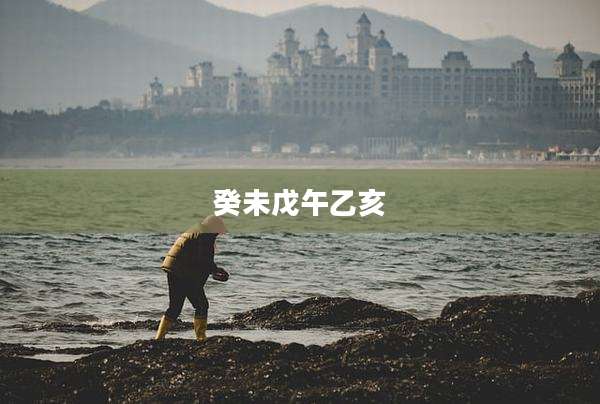 癸未戊午乙亥