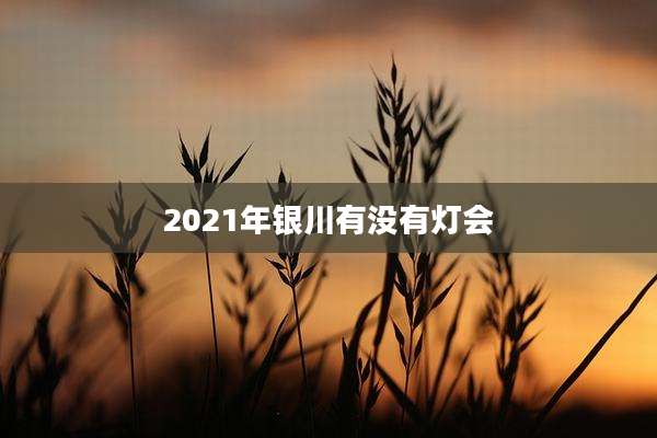 2021年银川有没有灯会